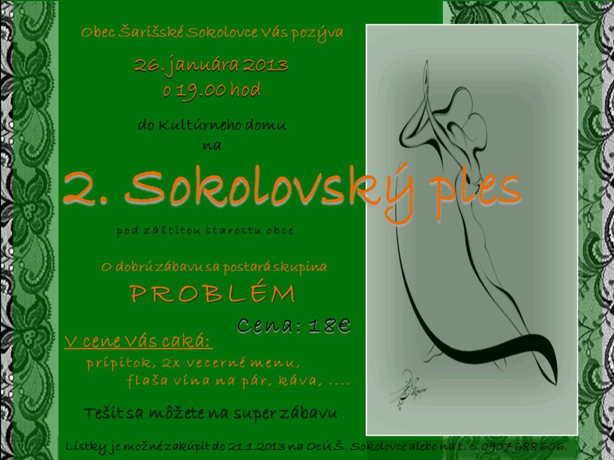 Fotogaléria 2. Sokolovský ples 2013 (62) 2. Sokolovský ples 2013